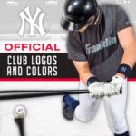 NY YANKEES  2.5" WRISTBANDS for Youth - Image 6