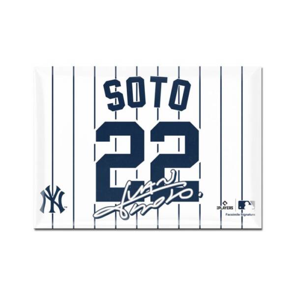 NEW YORK YANKEES METAL MAGNET 2.5" X 3.5" JUAN SOTO #22