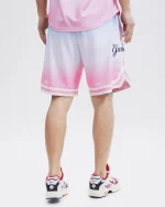 NEW YORK YANKEES LOGO PRO TEAM SHORT OMBRE - Image 2
