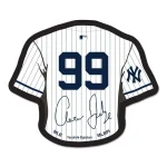 NEW YORK YANKEES COLLECTOR PIN JEWELRY CARD AARON JUDGE