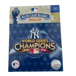 New York Yankees 2009 WS Championship Patch