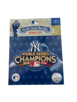 New York Yankees 2009 WS Championship Patch