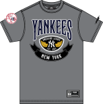 NY YANKEES BORN FOR SPORT M SJ TEE  GRAY