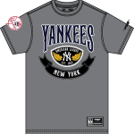 NY YANKEES BORN FOR SPORT M SJ TEE  GRAY