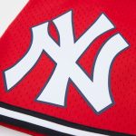 NY YANKEES MEN'S MESH RED SHORT MESH  FROM PRO STANDARS - Image 4